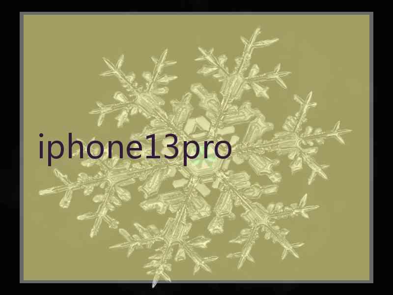 iphone13pro
