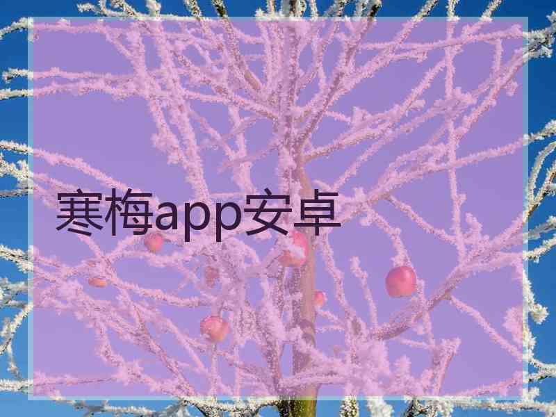 寒梅app安卓