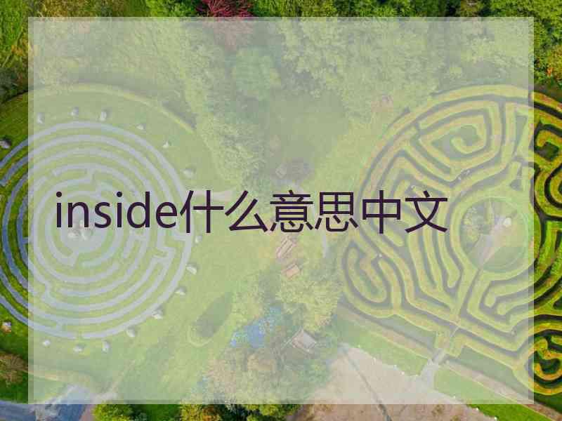 inside什么意思中文