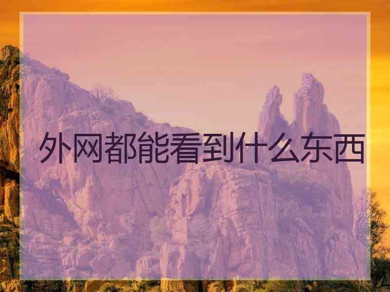 外网都能看到什么东西