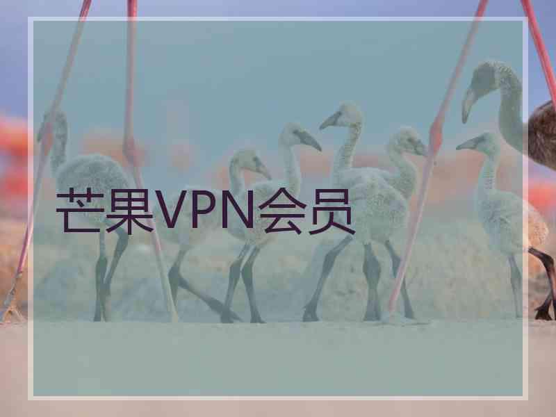 芒果VPN会员
