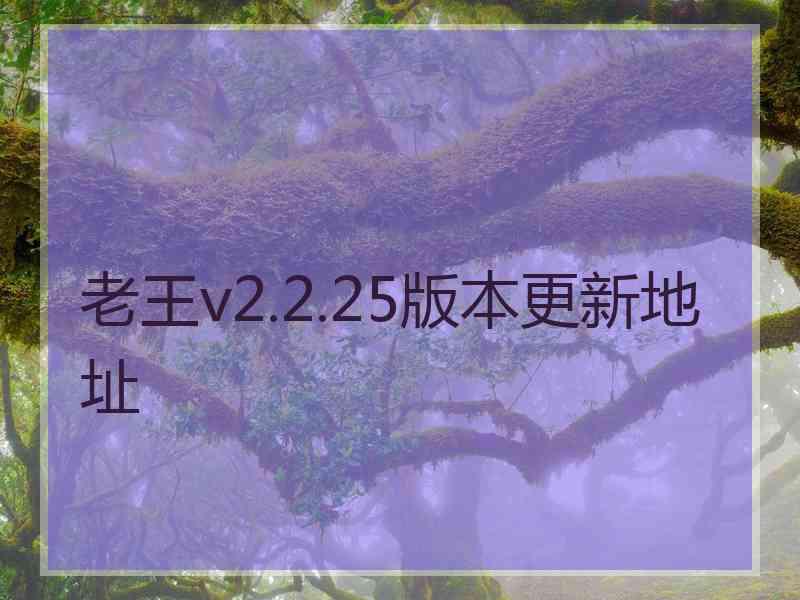 老王v2.2.25版本更新地址