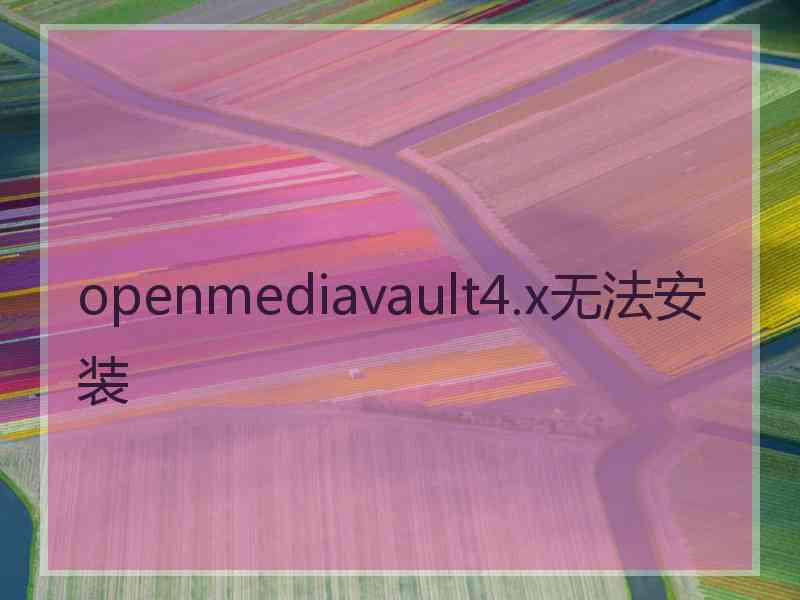 openmediavault4.x无法安装