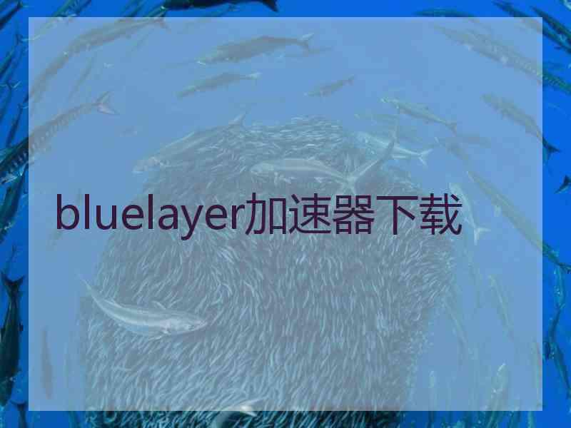 bluelayer加速器下载