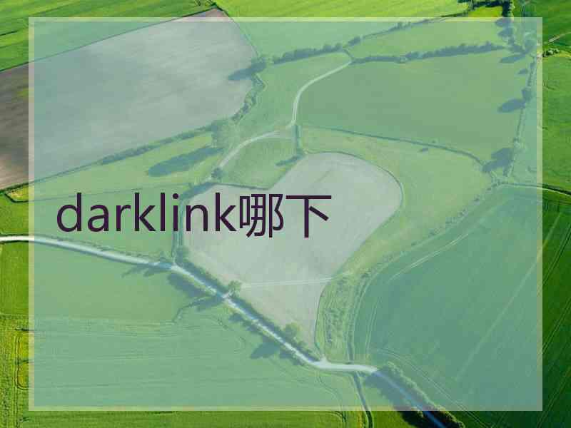 darklink哪下