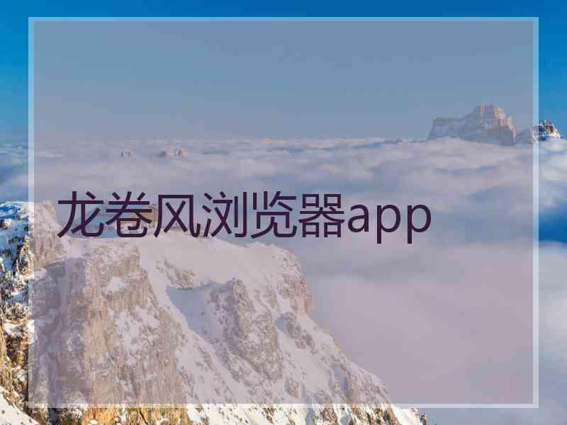 龙卷风浏览器app