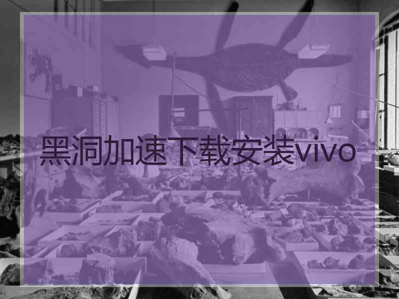 黑洞加速下载安装vivo