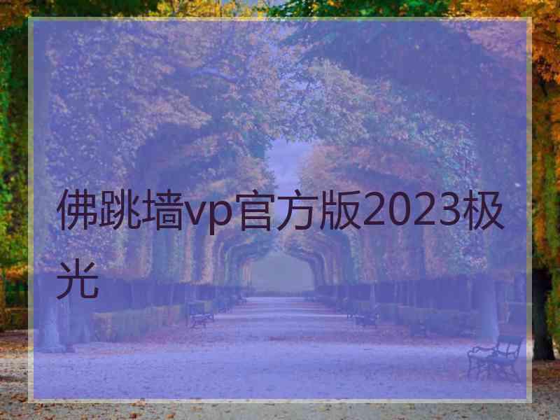 佛跳墙vp官方版2023极光