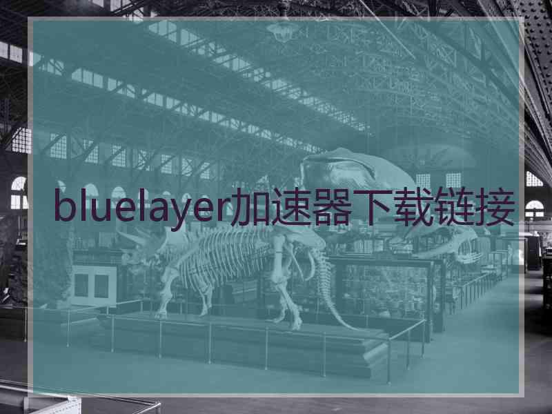 bluelayer加速器下载链接